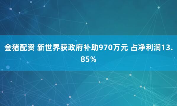 金猪配资 新世界获政府补助970万元 占净利润13.85%