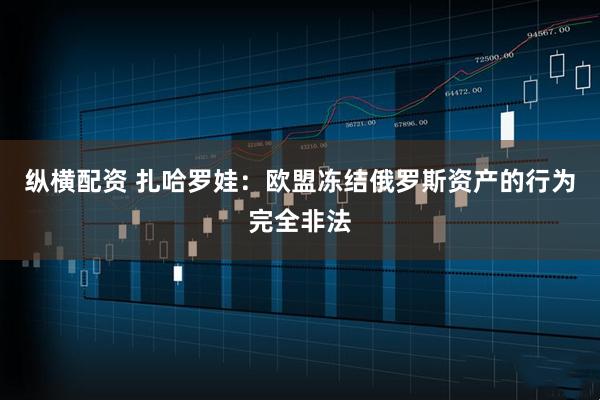 纵横配资 扎哈罗娃：欧盟冻结俄罗斯资产的行为完全非法